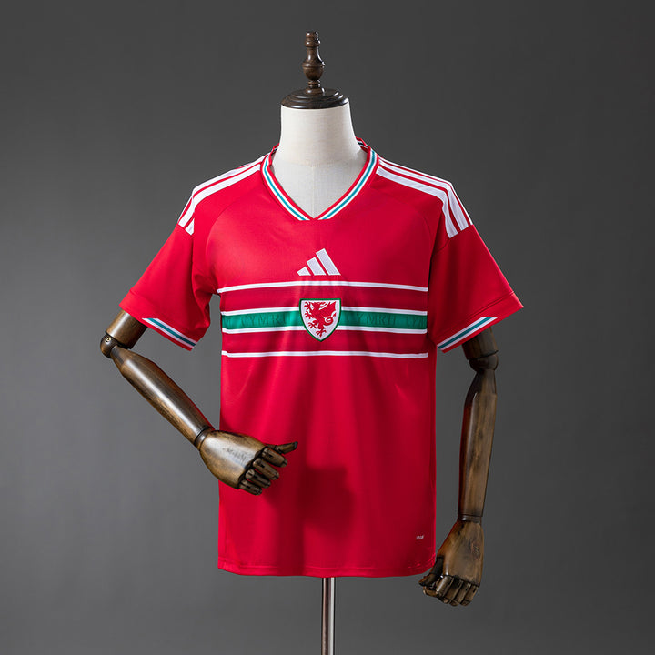 GALLES 2026 - HOME