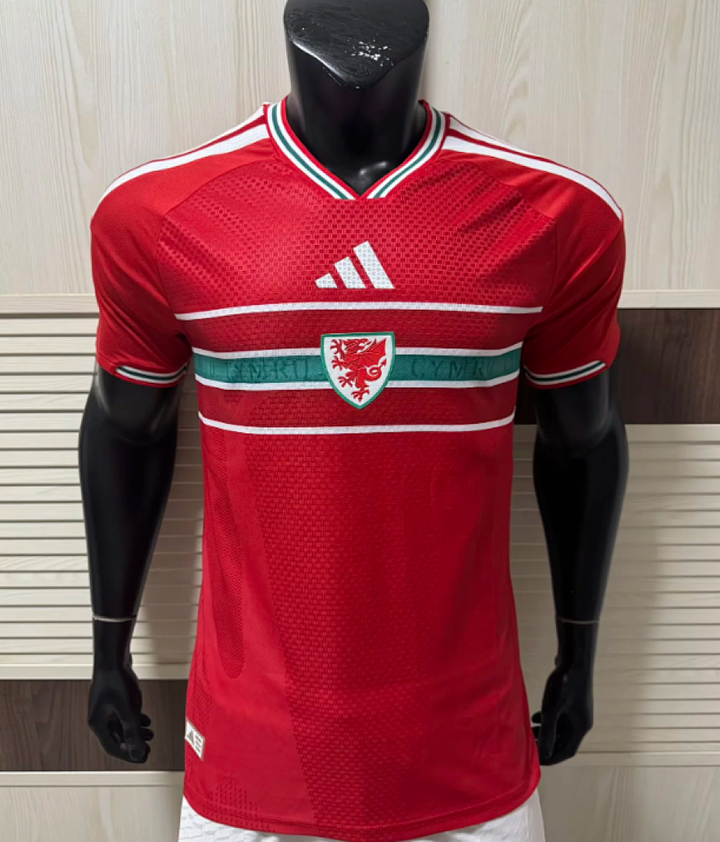 GALLES 2026 - HOME